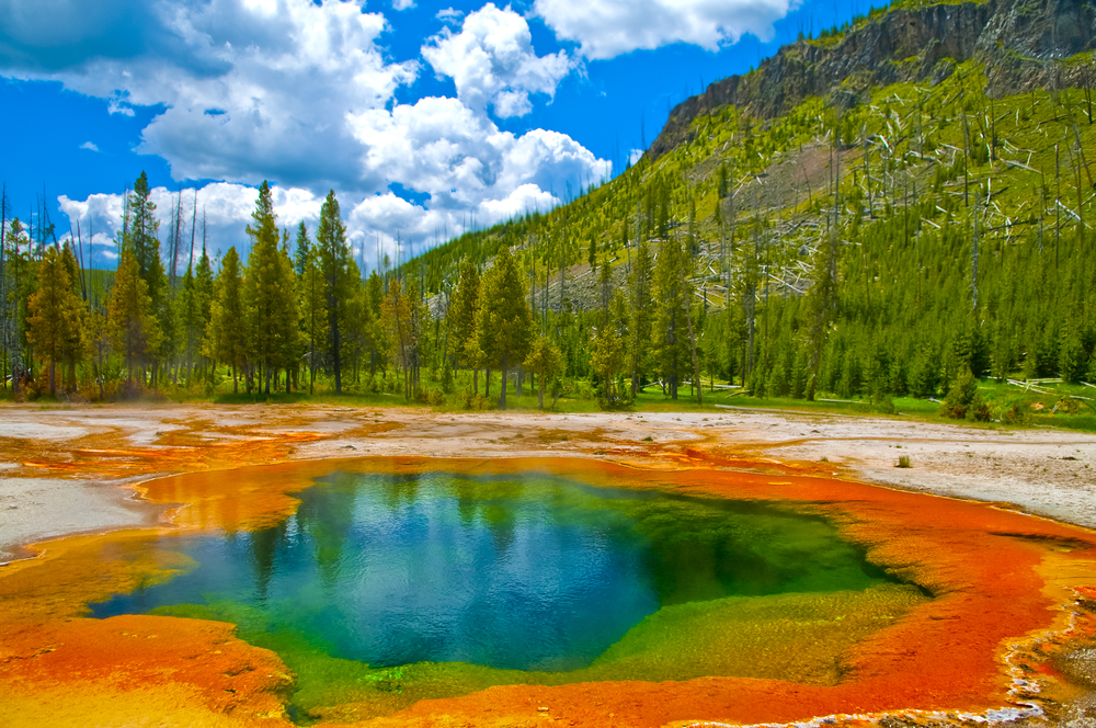 Deep-green-blue-geyser-pool-in-yellowstone-national-park