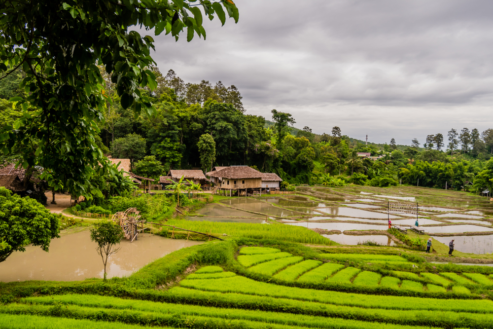 Hill-Tribes-Village-Chiang-Mai-Thailand