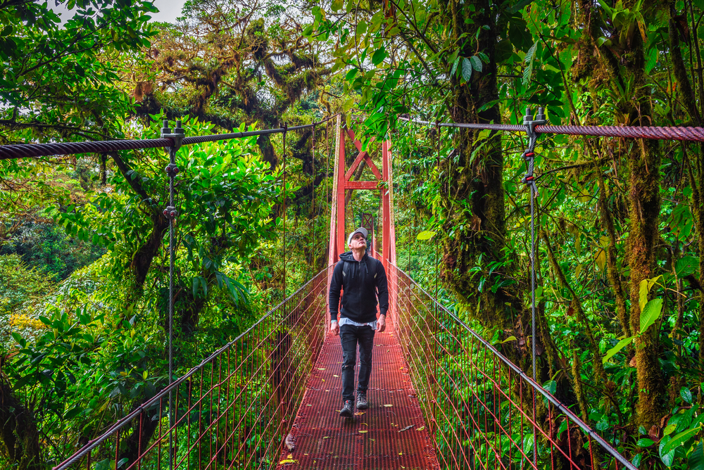 Monteverde-Cloud-Forest-Costa-Rica