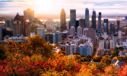 Best Things To Do In Montreal