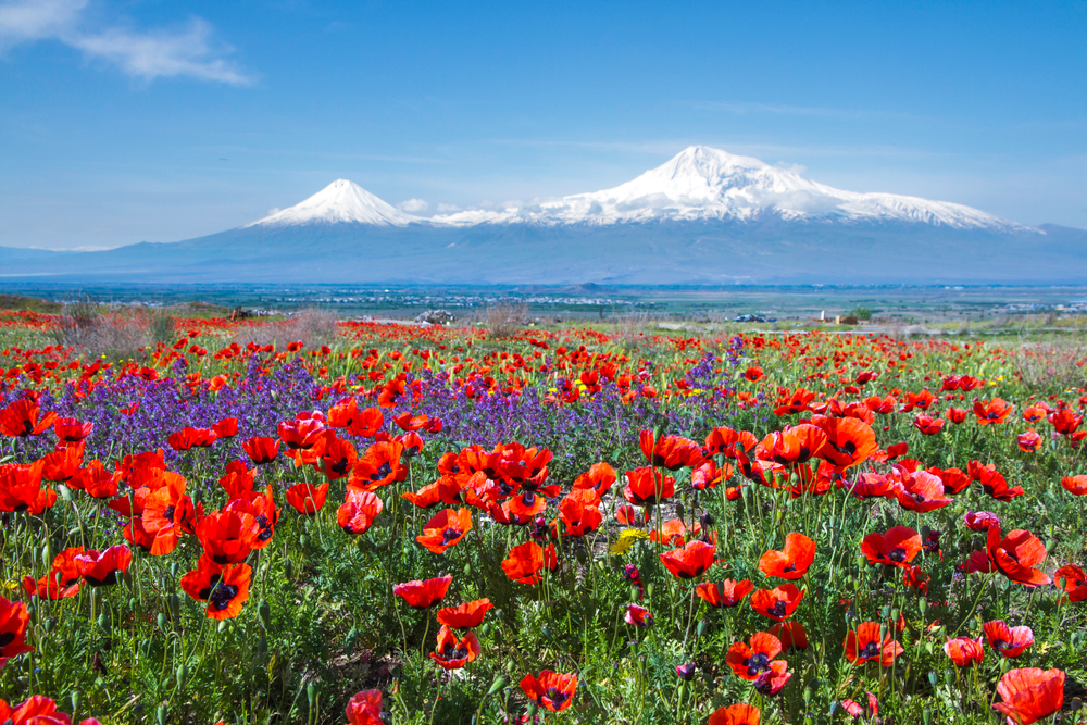 Mount-Ararat-Turkey