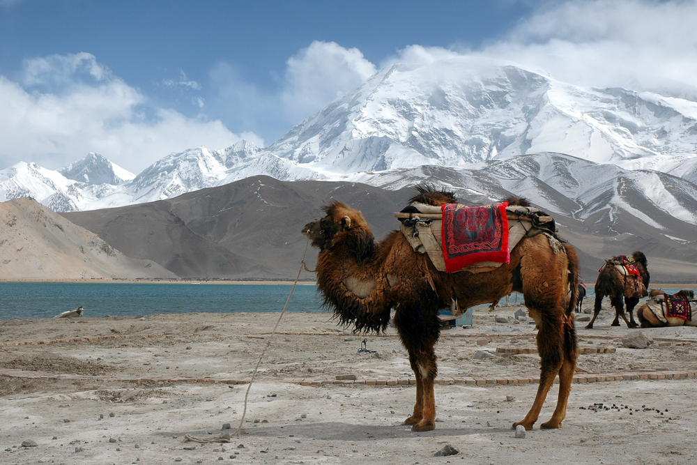 Silk Road, Xi'an to Kashgar