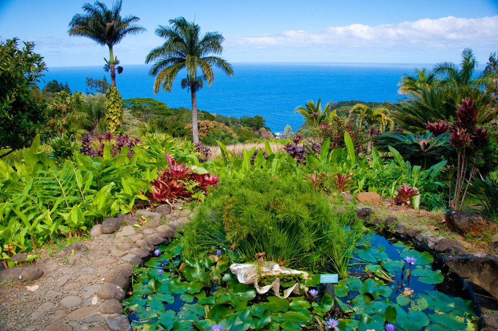 The-Garden-of-Eden-in-Maui-Hawaii