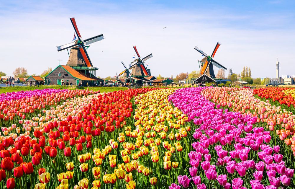 Best Places To Visit In Netherlands