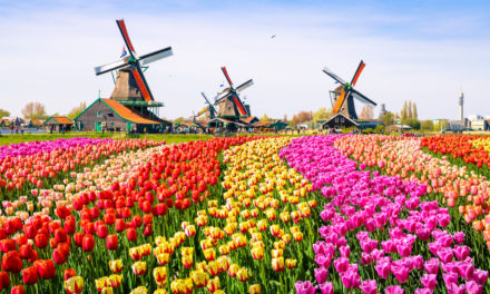 Best Places To Visit In Netherlands