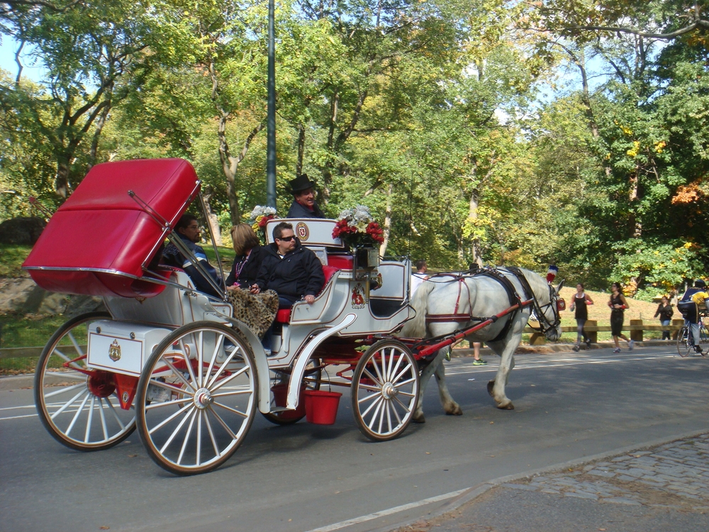 HORSE-DRAWN CARRIAGE RIDE IN CENTRAL PARK