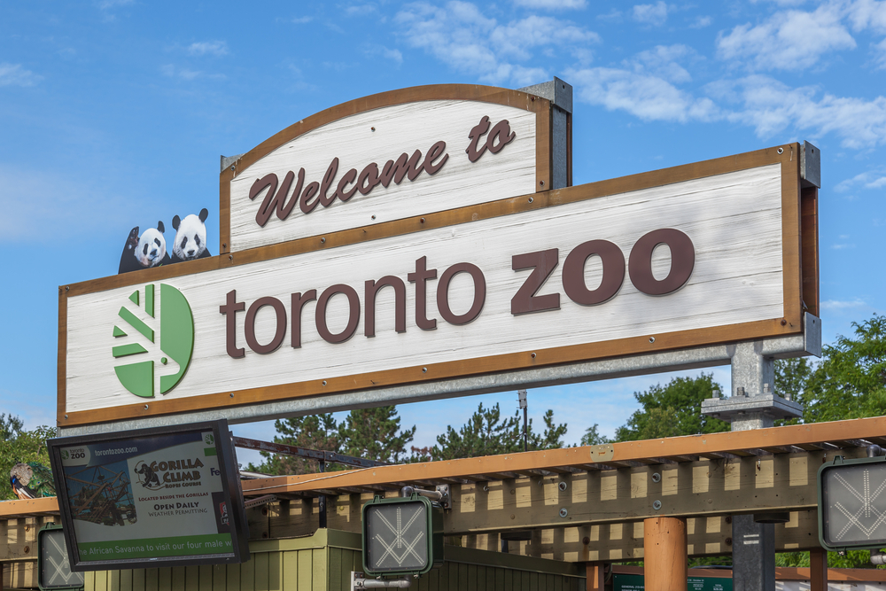 The Toronto Zoo, Toronto