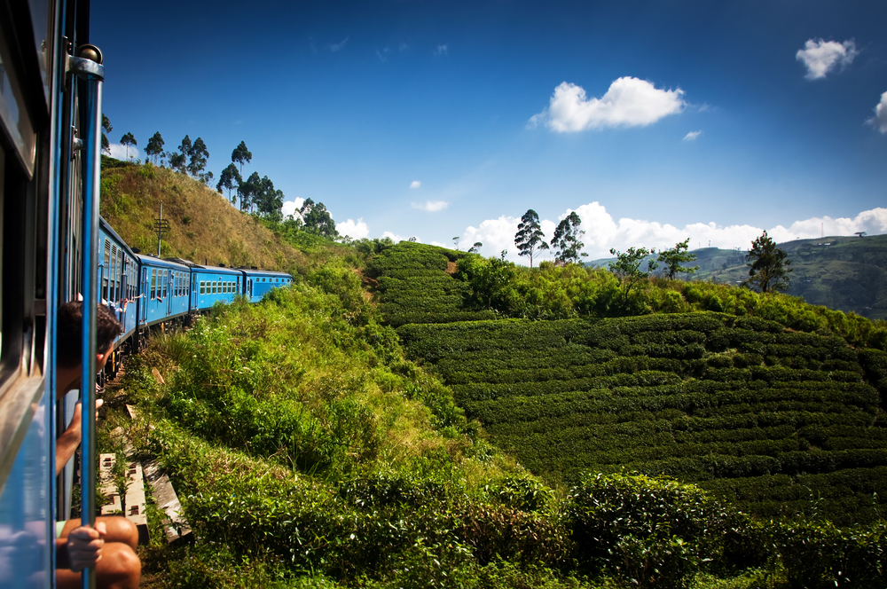 Nuwara Eliya and Tea Country, Sri Lanka