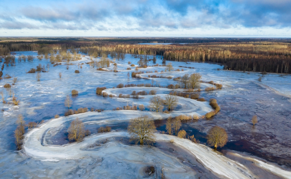 Soomaa National Park, Estonia